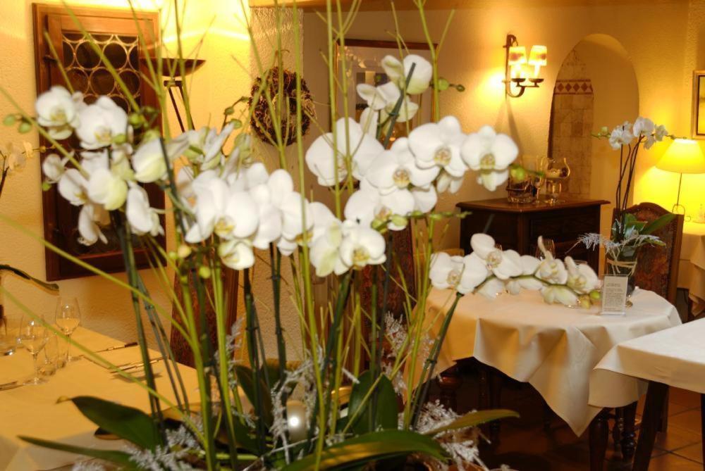 Auberge Saint Laurent Sierentz Zewnętrze zdjęcie